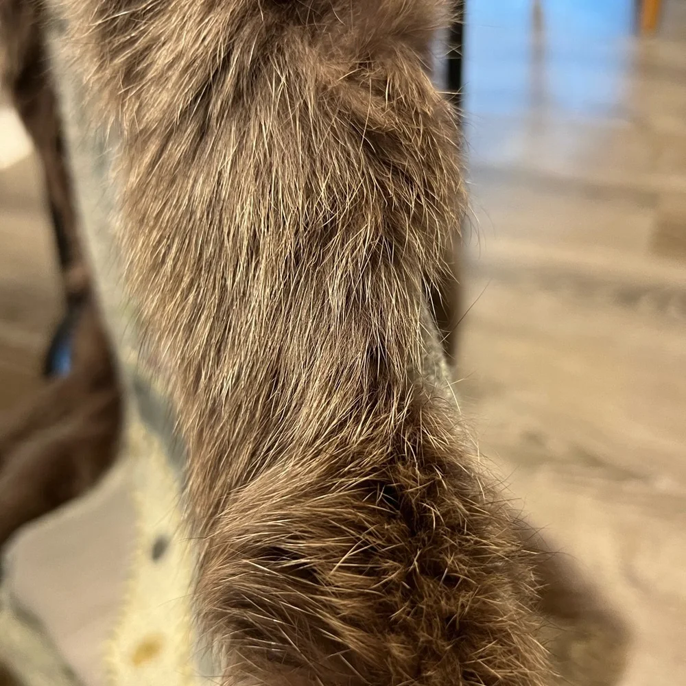 Luxurious Fur Fringe Wrap Scarf - Picture 5 of 8